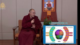 མཁན་པོ་ཚུལ་ཁྲིམས་བློ་གྲོས། ༥ ནང་བསྟན་དང་ཚན་རིག་གི་རིགས་པའི་འཛིན་མཚམས། Khenpo Tsultrim Lodro