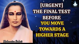 [Urgent] The Final Test Before You Move Towards A Higher Stage - Babaji's Message