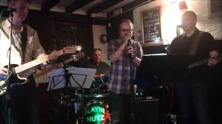 Should I Stay or Should I Go - Clash covered by Playne Nutz