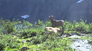highline,grinnell, siyeh