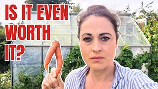 Is growing your own veg ACTUALLY worth it?!