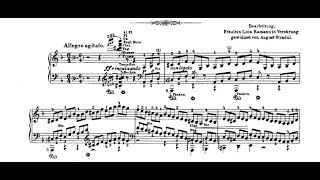 Liszt-Stradal - "Mazeppa" Symphonic Poem - Risto-Matti Marin Piano