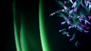 wrongelectron visuals at Glitch Mob Show in Calgary 2009 p15