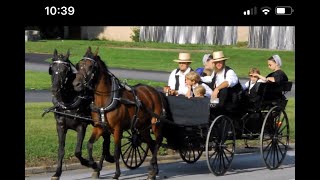 Amish Farm in Pennsylvania USA｜ Day With An Angel No.11