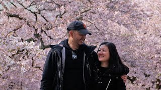 Seattle Cherry Blossoms | Spring in Seattle | Weekend in Seattle