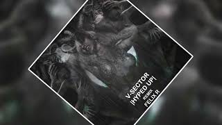 V-Sector - This Will Make You Move (Felix R Remix) [Rawsery]