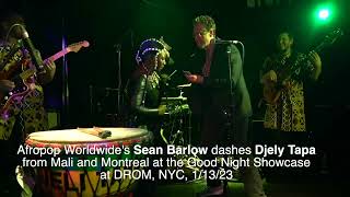 Sean Barlow dashes Djely Tapa: Afropop SHORT