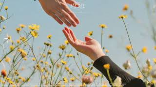 [Playlist] some moments stay softer before they reach us