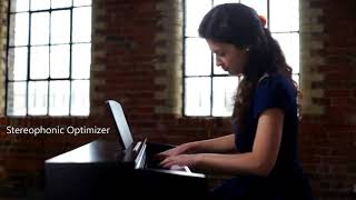 Yamaha ARIUS YDP 143 Raj Musicals