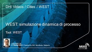 WEST: Introduzione al software di simulazione dinamica WEST