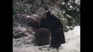 Kerry Shale (actor) - Mr Beaver #Outtakes ❤️