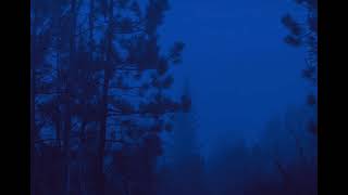 ByErik カ - when the world goes quiet