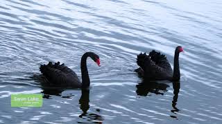 Slow Paced Winter Activities on Phillip Island