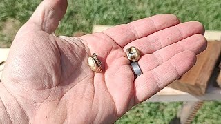Ipe (Brazilian Walnut) vs. 9mm Bullet (Hardness Test)