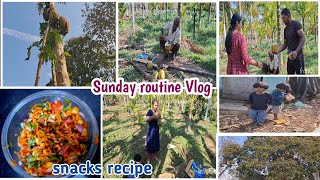 VLOG || DIML || ಎಳನೀರು ಕುಡಿಯೋಣ ಅಂತ ತೋಟಕ್ಕೆ ಹೋಗಿದ್ದ||ನೋಡಿ ನಮ್ ತೋಟ ಹೇಗಿದೆ?Protein Snacks Recipe#hema