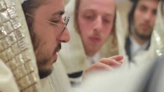Lipa and the Rubashkin petition