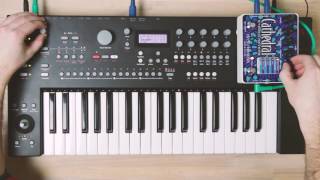 Hicut Cake Classics :: J.S. Bach – Invention No. 13 in A Minor  // Analog Keys // EHX Cathedral