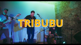 Tribubu - Live Festival de l'Impasse 2022