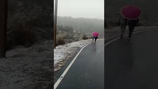 shimla snowfal