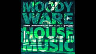 DJ Sneak - The Hot Shit | Moody Warehouse Music Vol2 (Magnetic Recordings)