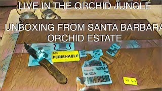 LIVE IN THE ORCHID JUNGLE SANTA BARBARA ORCHID ESTATE…can you guess???