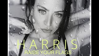 Raise Your Flags By Nicola Harris