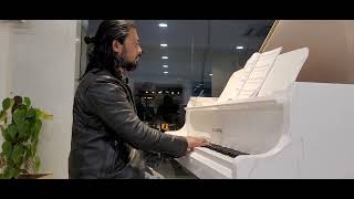 Pm Shridhar Kawai Grand Piano Player |  Pianist | Piano Performer India | Delhi Ncr live Piano show