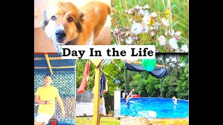 Productive Day In The Life Of Gracie