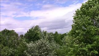 Joseph Murphy Affirmation In His Own Voice From Overcoming Worry