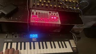 # 11 Behringer Wasp 🐝 Synth & Korg Volca Sample 2 Music Idea 💡