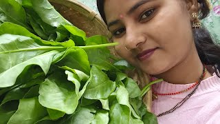 #vlog फुल रेसिपी पालक पूरी 😋😋🥬🥬#सपना रानी #