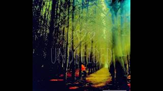 Alwayszilla - Undecided (Official audio)