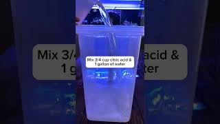 How to clean reef fish tank pumps using citric acid. Bust that coralline algae.