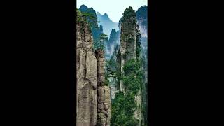 Ram Music energetic nature video footage #Shorts 1