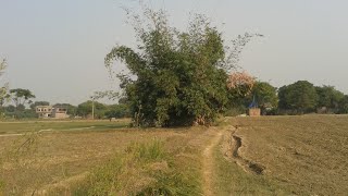 Village life 
