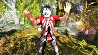 LA LEGENDE DES DEUX LOUPS contée par Gin CANDOTTI-BESSON, un film de Célestial ELF