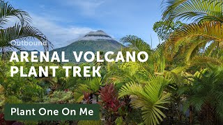 Plant Trek around ARENAL VOLCANO, COSTA RICA — Ep. 410