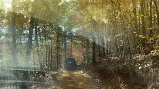 Uwharrie OHV 11/7/2020