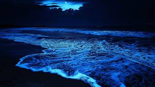 Unwind And Sleep All Night With Ocean Waves | Gentle Night Surf Sounds 🌙 | Dark Screen 24 Hours