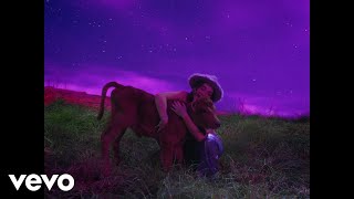 Sofia Castro - Emociones (Official Video)