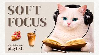 Cafe Lo-fi |Soft focus session ☕️🌿| Music for deep focus study & work [3H]