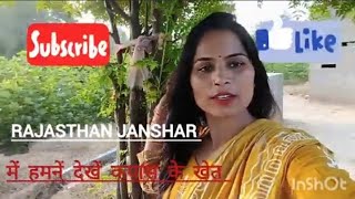 हम घूमने आए राजस्थान में यहाँ पर मैंने देखें बहुत सारे कपास के खेत 