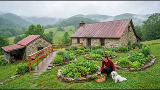 Talented Young Girl Left the City to Build a Peaceful Life in the Mountains | Growing Her Own Food