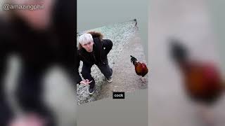 Dan & Phil - Instagram Story Compilation (Janaury 5th 2026)