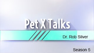 Pet X Talks - Dr. Rob Silver - Medical Cannabis Part 1- What every pet parent needs to know