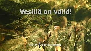 Vesillä on väliä!