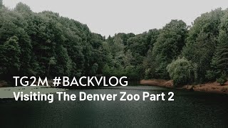 TG2M S4E7 Part 2 “Visiting The Denver Zoo” #backvlog