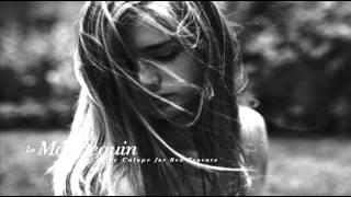 Silent Birds - Glory Box