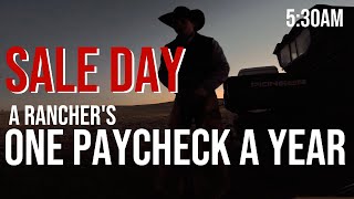 All the hard work pays off (Pt. 1) DAY IN THE LIFE OF A RANCH HAND