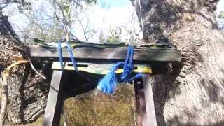 astv- OAK TREE DEER STAND DIY- how to bow hunting